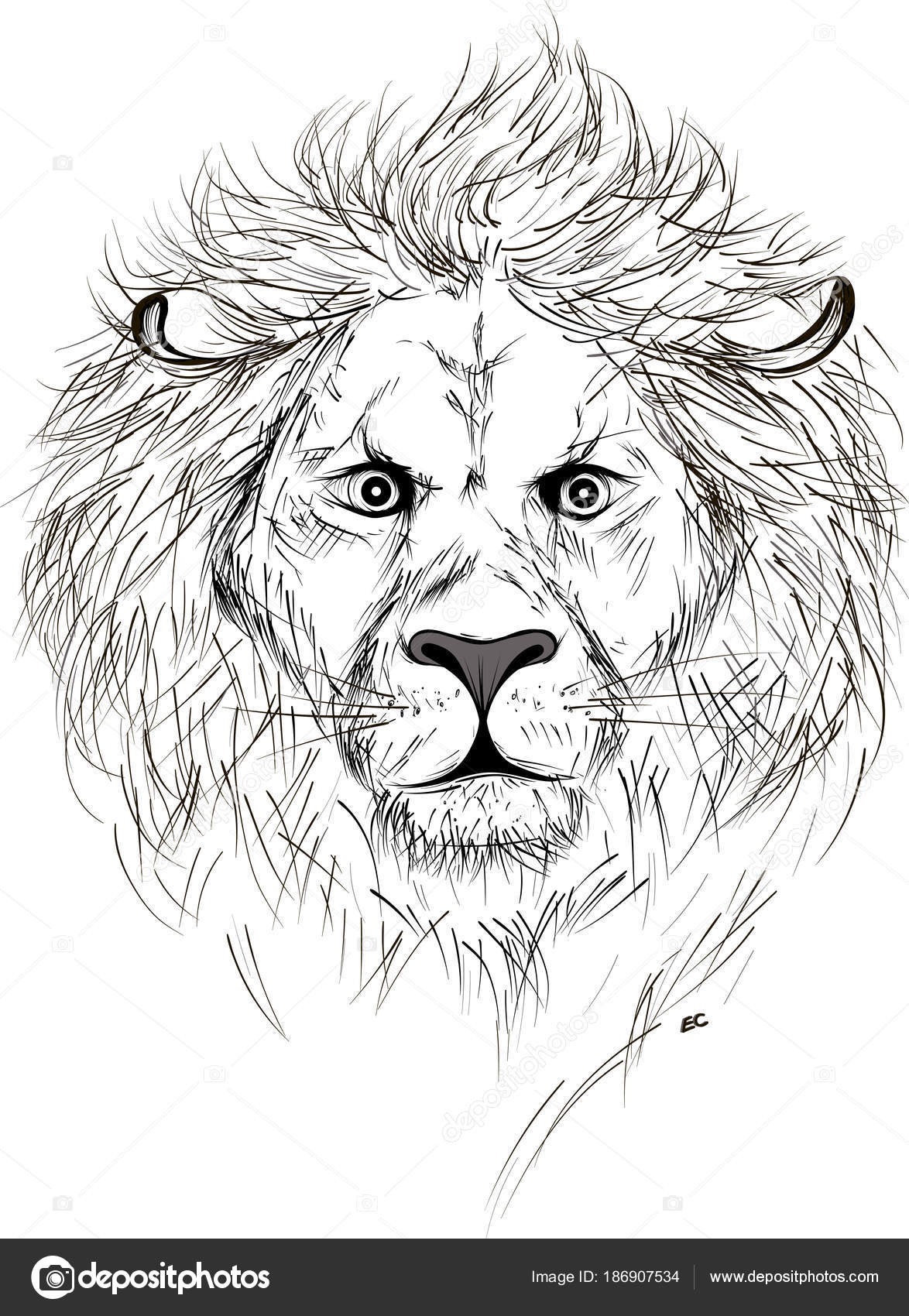 Hand Drawn Lion Head Vector Sketch Isolated On White Background Vintage  Etching Illustration Stock Illustration - Download Image Now - iStock