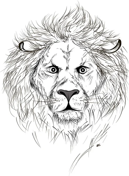 Vector Black and White Tattoo Lion Illustration isolated — Stock Vector