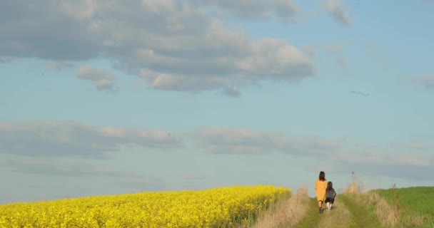 Mère et fille marchant dans un champ de colza se tenant la main, se parlant . — Video