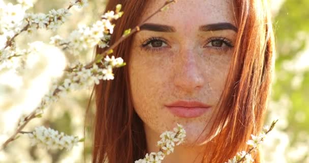 Młoda, piękna ruda kobieta w kwitnącym ogrodzie migdałów. atrakcyjna dziewczyna z rudymi włosami i wieloma piegami na twarzy. — Wideo stockowe