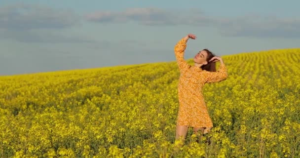 Giovane bella ragazza sul campo. Ritratto di giovane bella donna dai capelli rossi con una mano in su in abito giallo in campo giallo in retroilluminazione. Concetto campagna estiva. Vicino alla natura vacanza — Video Stock