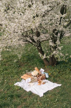 Different bread loaves and cheese for picnic on blanket on green grass under blooming apple tree  clipart