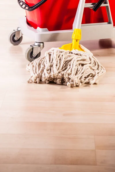 Limpeza da casa — Fotografia de Stock