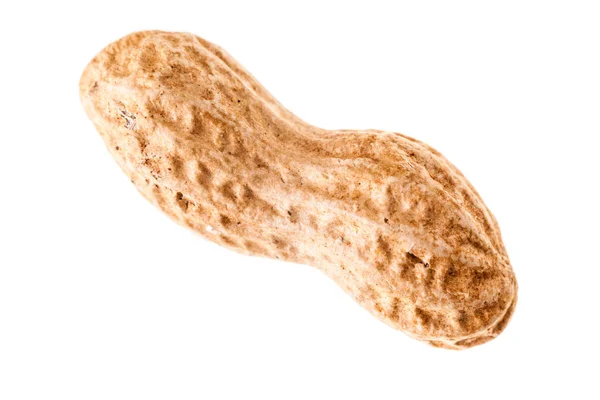 Einzelne Erdnuss auf weiß — Stockfoto