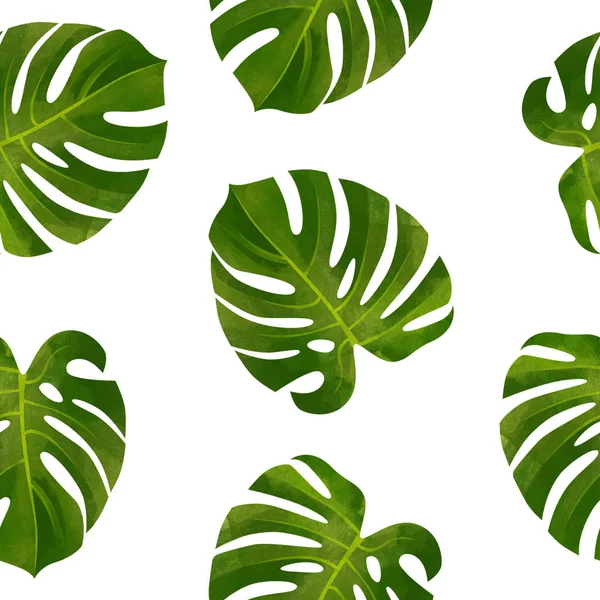 Tropikalny Wzór Monstera Liści Ilustracja Modne Roślin — Zdjęcie stockowe
