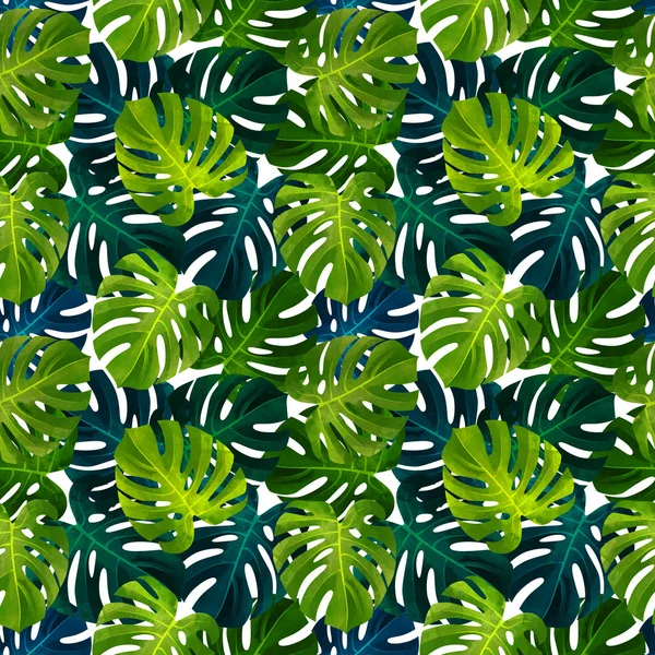 Тропический Бесшовный Рисунок Листьями Монстров Модная Иллюстрация Растений — стоковое фото