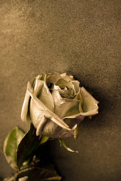 Golden rose altın arka plan, metin için yer Tarih