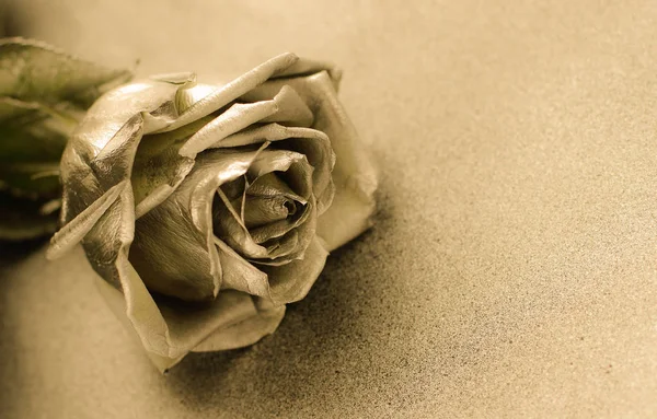 Golden rose altın arka plan, metin için yer Tarih