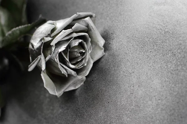 Gümüş arka plan, metin için yer üzerinde gümüş sanatsal canlı gül 