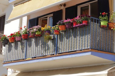 Sp dekorasyon mavi balkonda farklï tür çiçek, çiçekler
