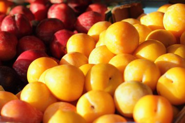 Sarı ve kırmızı Erik semt pazarı üzerinde güneşin altında 