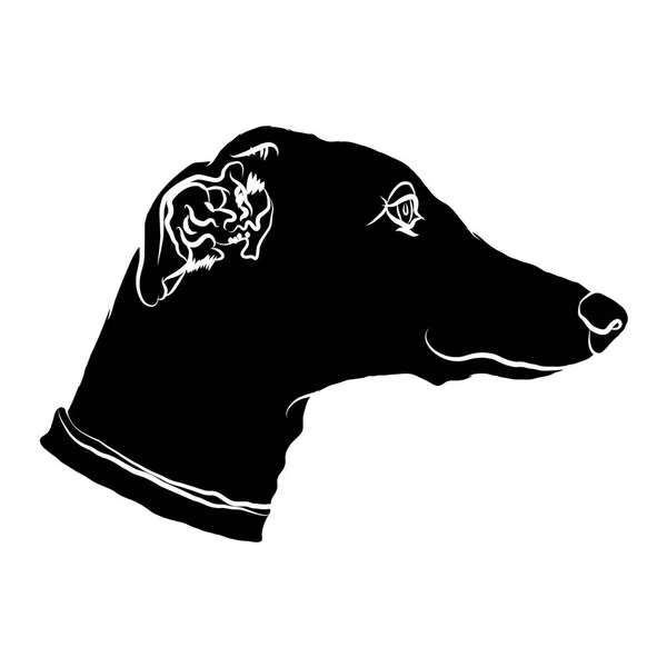 Silhouette Muso Levriero Logo Del Cane Illusione Vettoriale — Vettoriale Stock