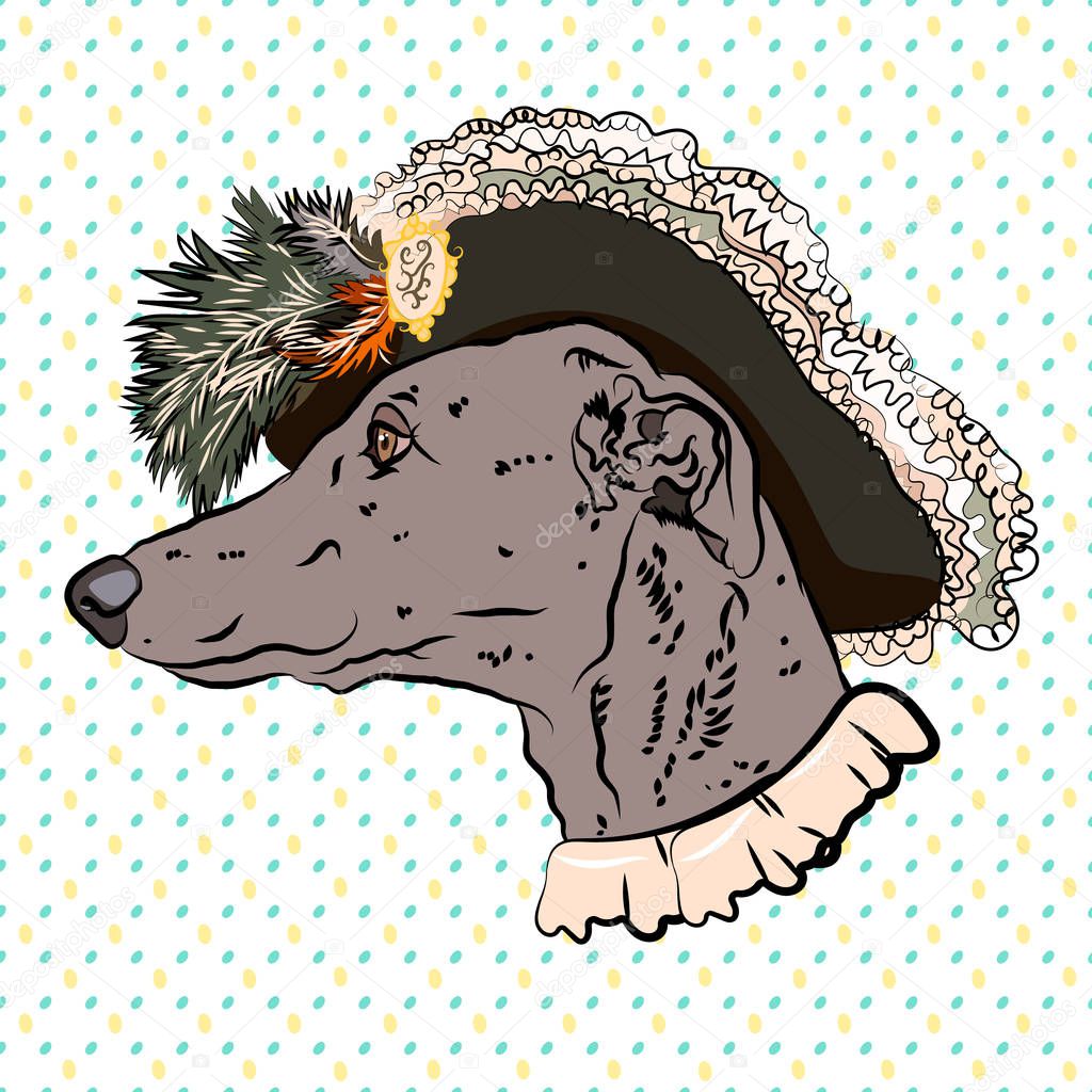 Greyhound in a vintage suit. Privileged person. Funny drawing for a youth T-shirt. Vector.