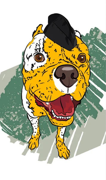 Soldado Perro Divertido Vector Dibujado Mano Retrato — Vector de stock
