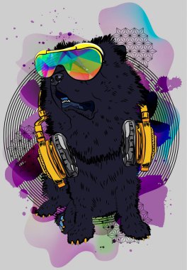 Şık köpek. Yourcool T-shirt ile Chow chow yazdırın. Vektör. Moda serin poster.