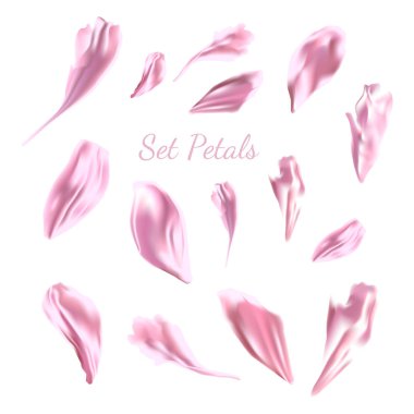 Peony Petals Koleksiyonu. Gerçekçi yapraklar. İzole vektör illüstrasyonu.