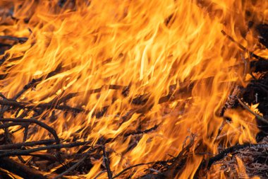 Alevli şenlik ateşi dokusu. Arkaplan için doku.