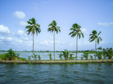 Kerala 'da Alleppey' in durgun sularında yüzen ev çok meşhurdur.