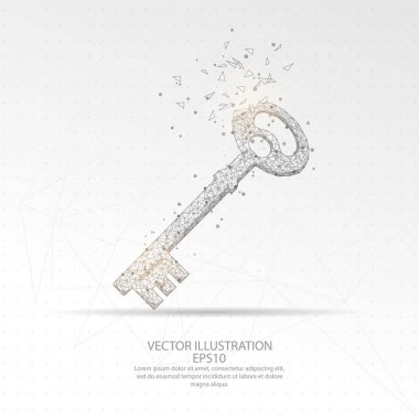 Dijital anahtar düşük Poli tel çerçeve çizilmiş.