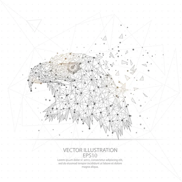 Digitally drawn eagle head low poly wire frame. — Stock Vector