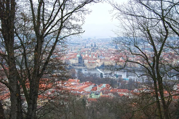 Techos Picos Casas Praga Arrastramiento Del Río Moldava — Foto de Stock