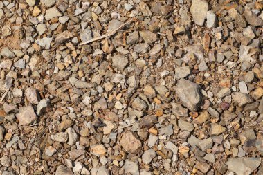Çakıl tarlası örtüsü. Sürücüler, yollar bahçe özellikleri, zemin örtüsü ve dekoratif kullanım için dekoratif yongalar ideal.