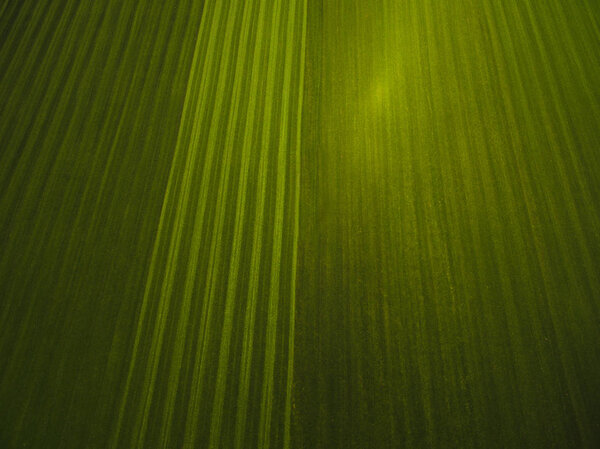 Вид с воздуха