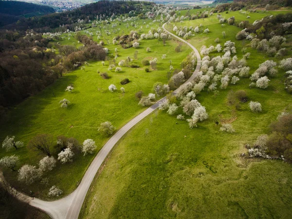 Colline — Foto Stock