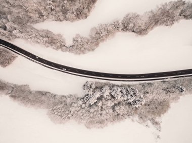 yol ve ağaçlar