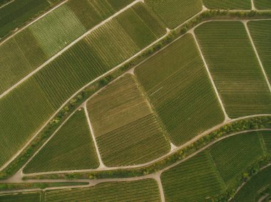 bird eye view of green agricultural fields, europe clipart