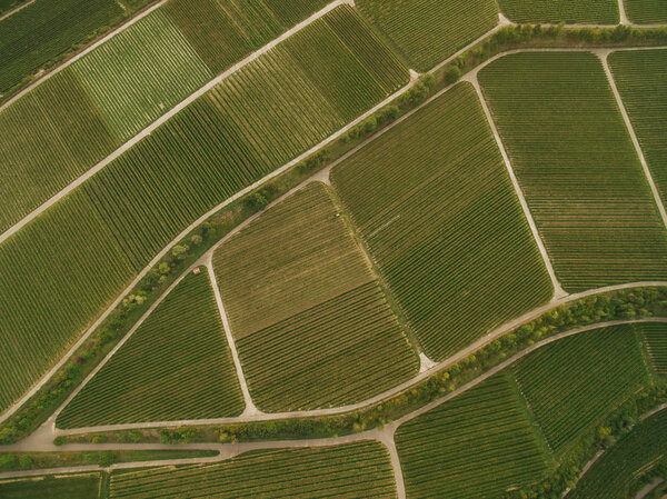 bird eye view of green agricultural fields, europe