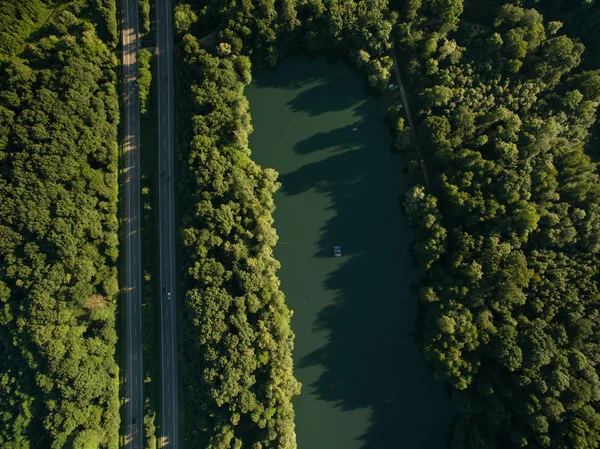 Bosque y lago — Foto de Stock