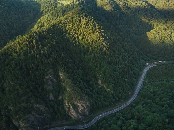 산 숲 — 스톡 사진