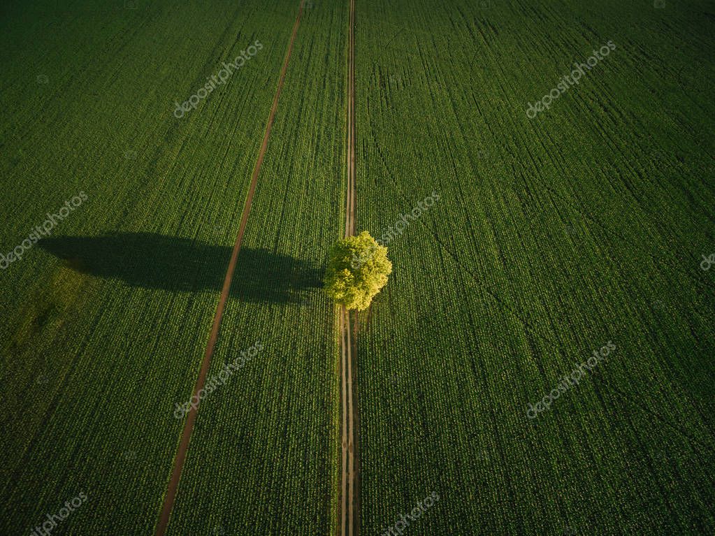 AerialBO