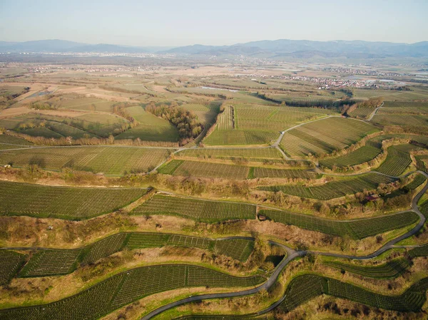 Vista aérea del paisaje con campos verdes en los niveles, Alemania - foto de stock