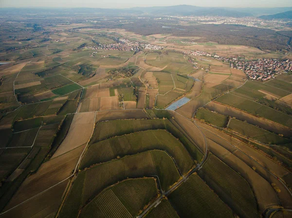 Schön — Stockfoto