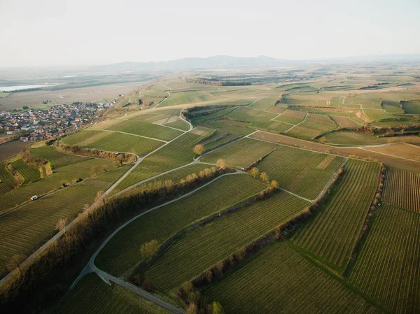 Вид с воздуха на величественный пейзаж с зеленым полем, Германия — стоковое фото