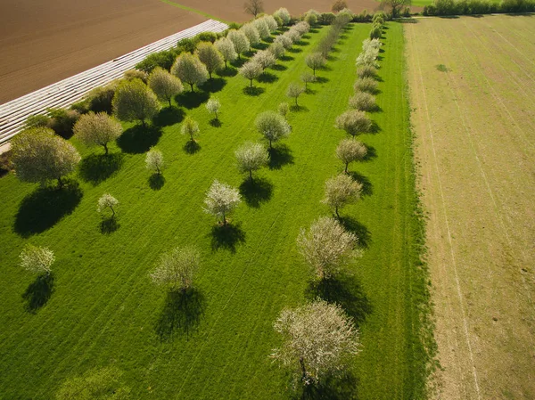 Landschaft — Stockfoto