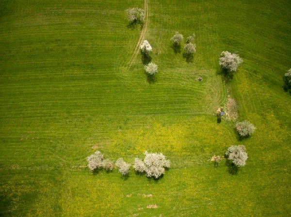 Punto di riferimento — Foto stock