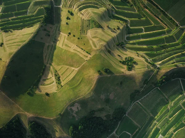 Plein cadre des champs agricoles et des collines de vue d'oiseau, europe — Photo de stock