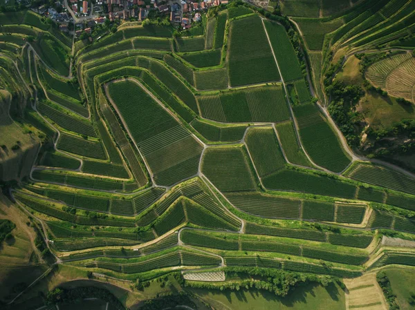 Cadre complet des champs agricoles vue d'ensemble, europe — Photo de stock