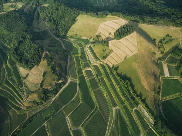 Vista aérea de belos campos agrícolas e colinas verdes, europa — Fotografia de Stock