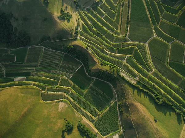 Vista aérea de verdes campos agrícolas y colinas, Europa - foto de stock