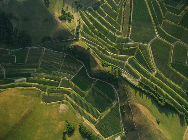 Aerial view of green agricultural fields and hills, europe — Stock Photo