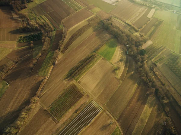 Vista aérea de belos campos agrícolas no pôr do sol de verão, europa — Fotografia de Stock