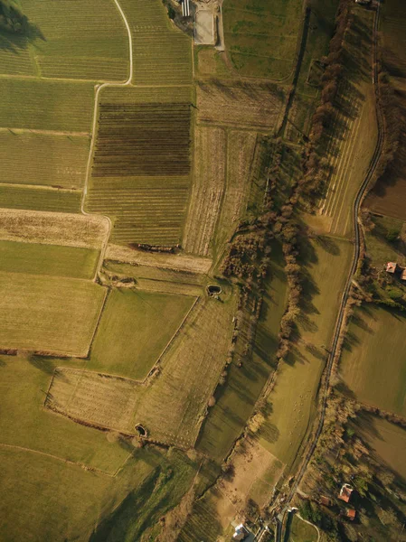 Aerial view of agricultural fields on summer sunset, europe — Stock Photo