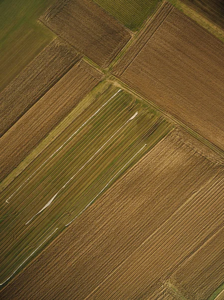 Vista aérea de hileras de campos agrícolas, Europa - foto de stock