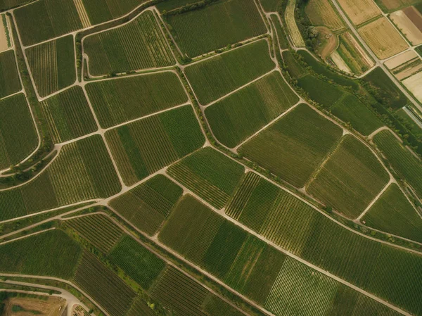 Rural — Fotografia de Stock