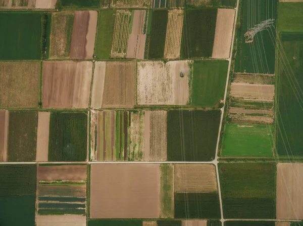 Bird eye view — Stock Photo