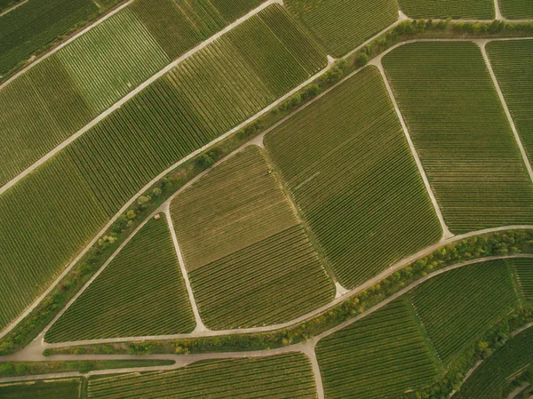 Bird eye view of green agricultural fields, europe — Stock Photo